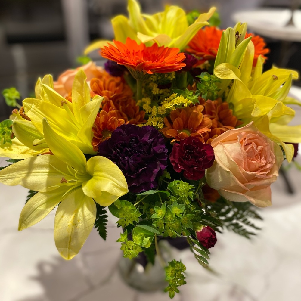 Meet your Posher, Loreyna